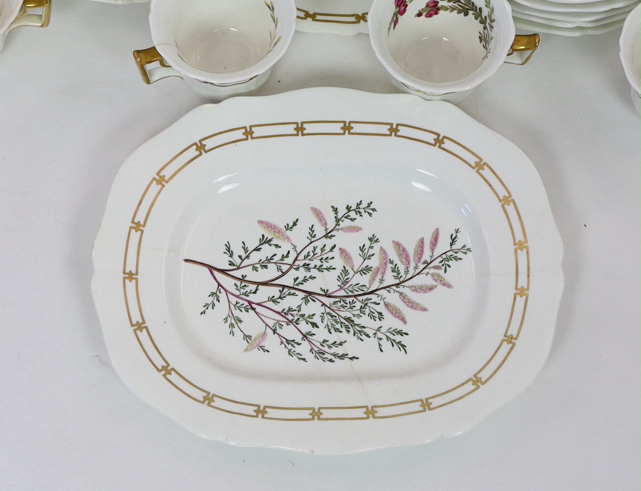 A rare Rockingham botanical specimen part breakfast service, griffin statant mark, c.1826, with some matching pieces, c.1830-5